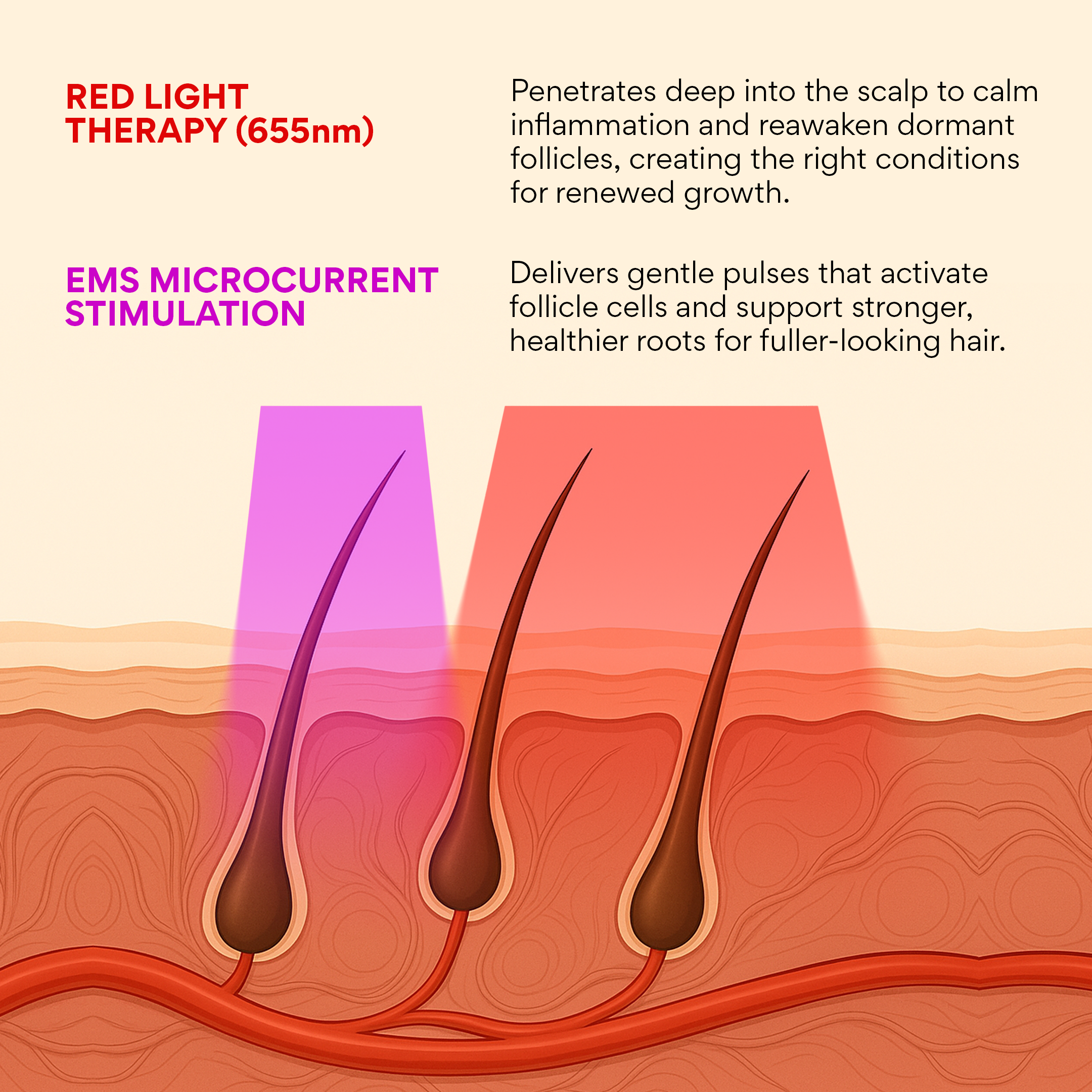 Curlic Activator Pro + FREE Hair Growth Oil + E-Book