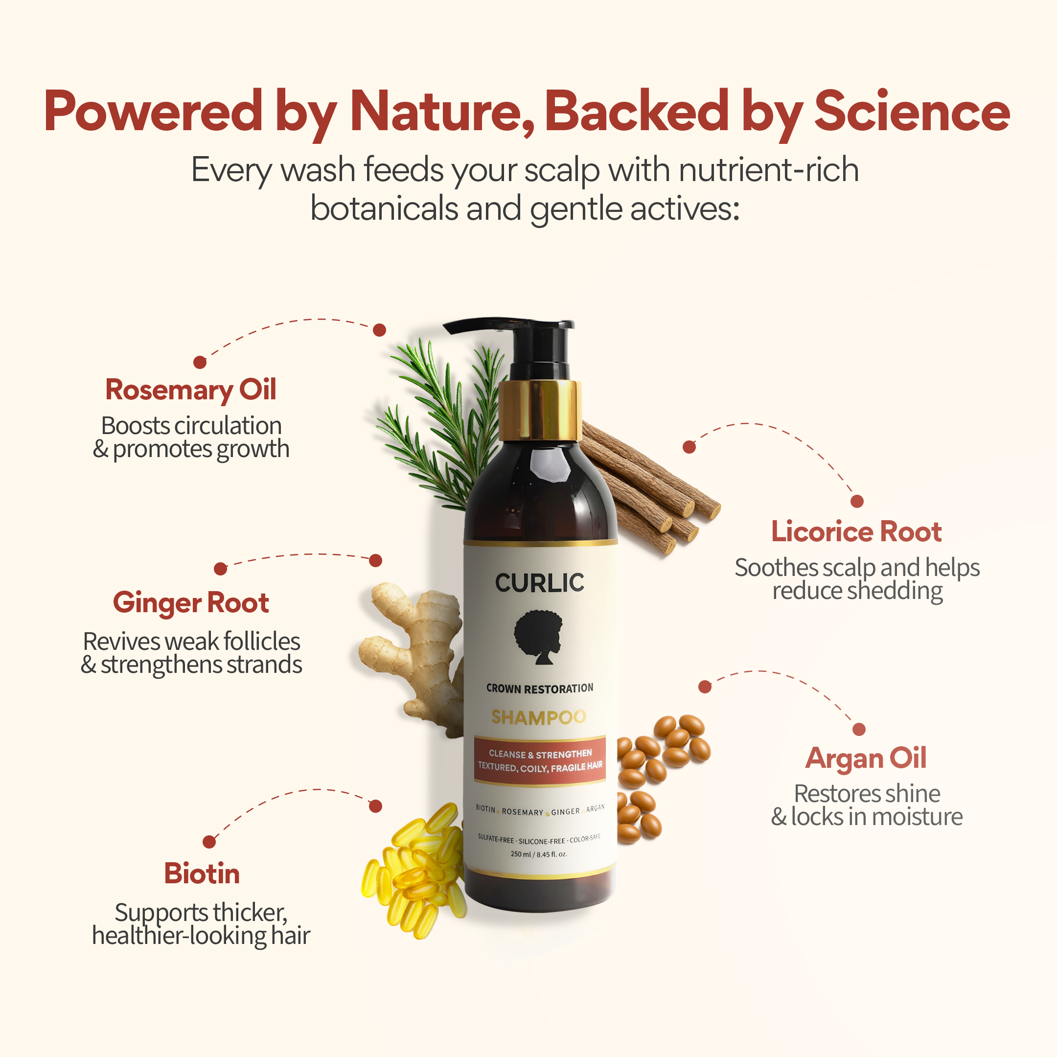 Curlic Growth Foundation Shampoo